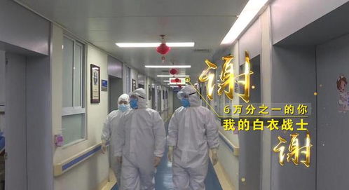 “守護天使”公益律師武漢上崗，為醫護筑起法律后盾