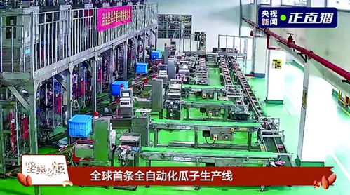 洽洽食品榮膺新華社民族品牌工程，引領(lǐng)民族品牌新篇章